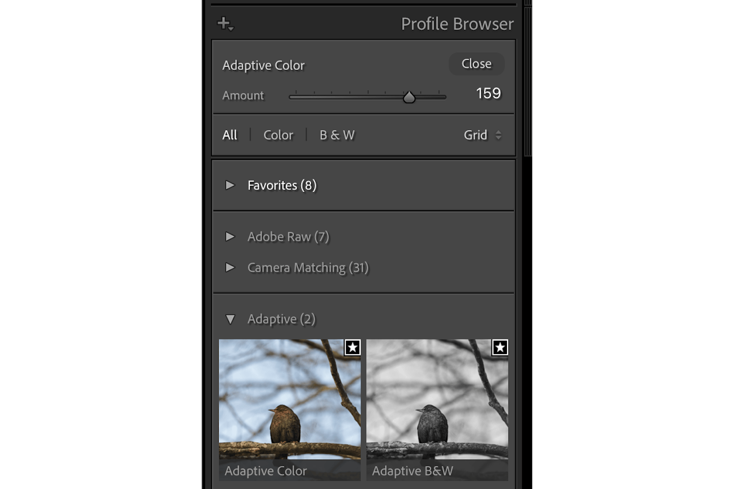 Val av Adaptiv Svartvit i Lightroom Val av Adaptiv Svartvit i Lightroom